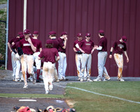 THS Baseball vs Lebanon 2019