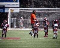 Jr Viking Mitey Mites v  Cloudland Final